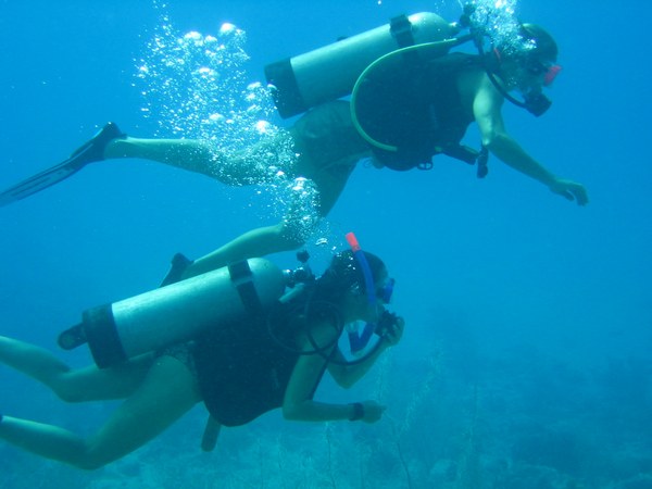 carib_diving.jpg