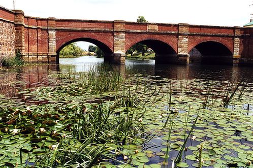 Мост Ред-Бридж через реку Элизабет