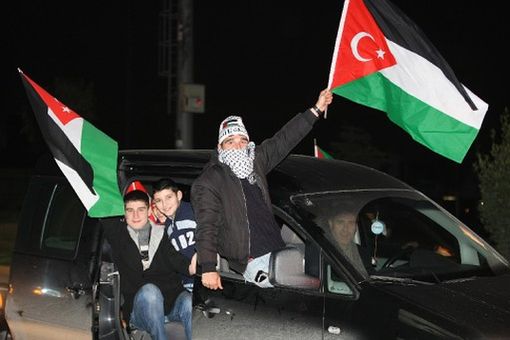 Флаг Газы 2 февраля 2009