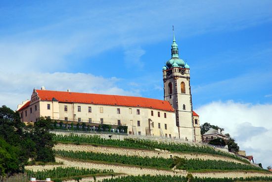 Замок с виноградом и башня церкви