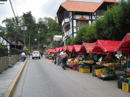 Овощной рынок города