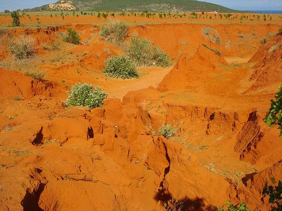 Муйне. Красный каньон по пути на белые дюны и озеро лотосов