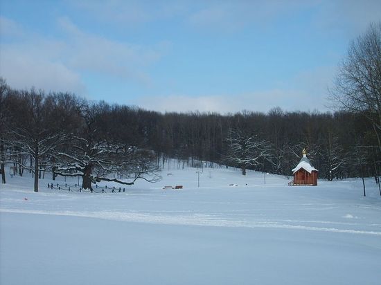Дубовской парк зимой. Дуб Богдана Хмельницкого (справа)
