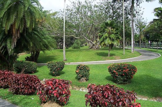Ботанический сад на Тринидаде