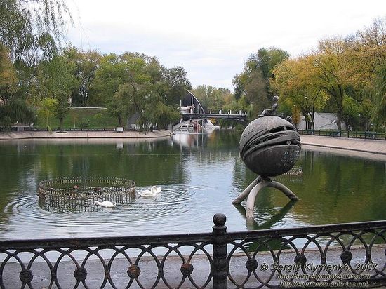 Лебеди на озере в парке им. Л. Глобы