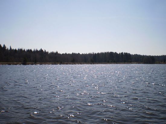 Будачевское озеро возле Санатория "Боровое"