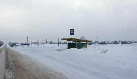 Автобусная остановка и сама деревня Николаевское на заднем плане