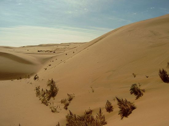 Пустыня Гоби — Южно-Гобийский аймак, Монголия