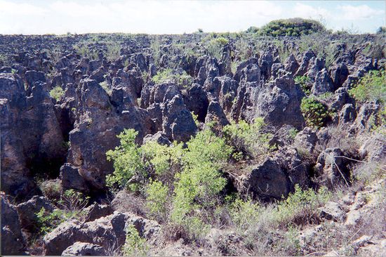 Безжизненный «лунный пейзаж» в районе выработанных фосфоритных карьеров. Хорошо видны не зарастающие травой известняковые глыбы, имеющие высоту до 15 м.