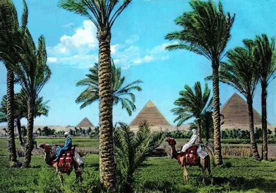 Пирамиды Гизы на открытке 1960-х гг.