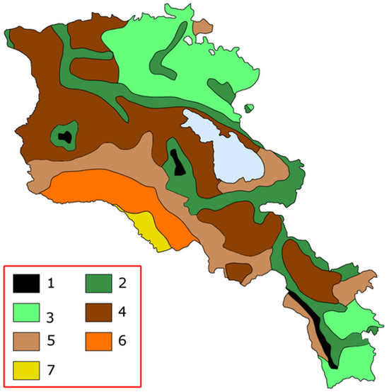 Почвы Армении   1. Высокогорные примитивные почвы 2. Горно-луговые почвы 3. Горно-лесные почвы 4. Степные почвы 5. Каштановые почвы 6. Бурые почвы 7. Серозём