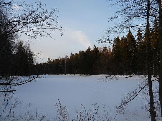 Замёрзший и занесённый снегом пруд на речке Камшиловке около деревни