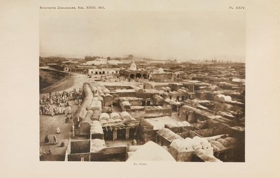 Вид на город (апрель 1909 г.)