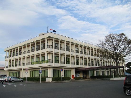 Здание городской администрации