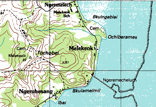 Штат Мелекеок на топографической карте