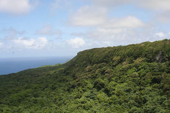 Благодаря влажному тропическому климату многие острова Тонга покрыты густой растительностью (на фото: остров Эуа)
