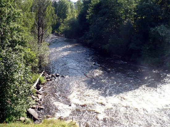 Река Перетна (вид с моста в Окуловке по течению)