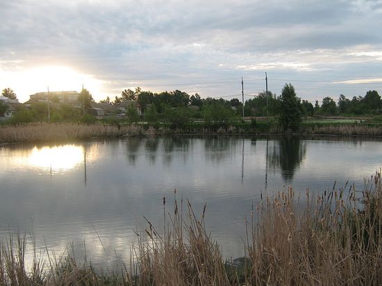 бывшая река Карасиха у Васильево
