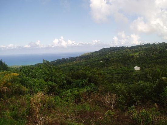 Вид на Барбадос с холма в центральной части острова.