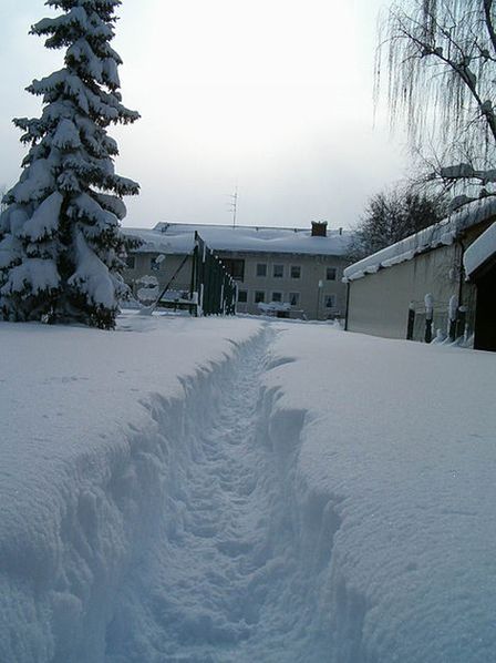 Тропинка в снегу