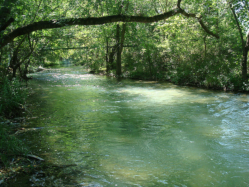 Река Чёрная в среднем течении