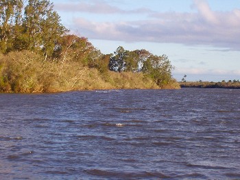 Вид на реку Себольяти