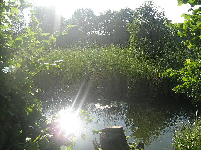 Солнце в реке Курлак
