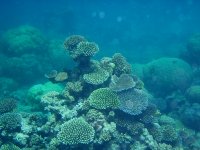 Большой Барьерный риф в Австралии