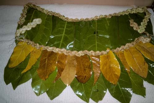 Традиционная юбка, сделанная из листьев баррингтонии, атолл Нанумеа.