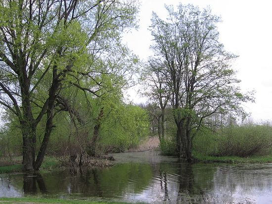 Озеро Медведевка